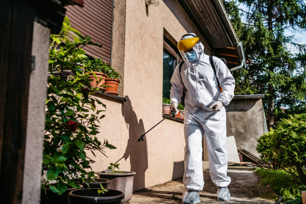 Pest Prevention Services in The Pinery, CO