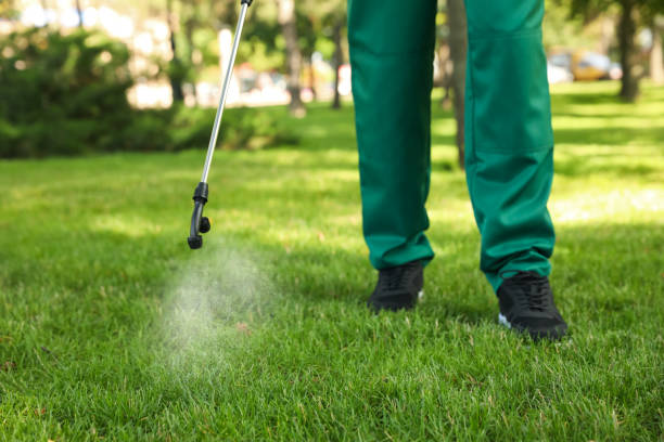 Best Best Pest Control Companies  in The Pinery, CO