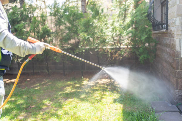 Best Insect Control  in The Pinery, CO