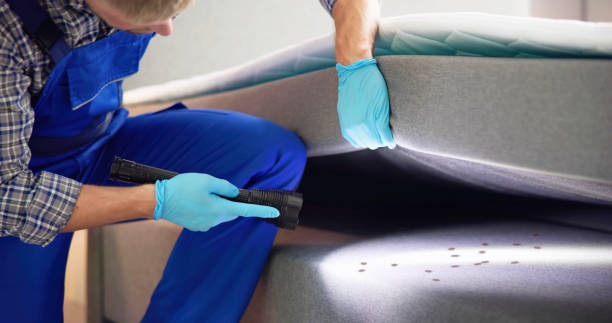 Best Pest Control for Homes  in The Pinery, CO