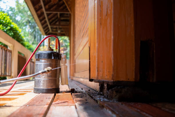 Best Termite Control Services  in The Pinery, CO