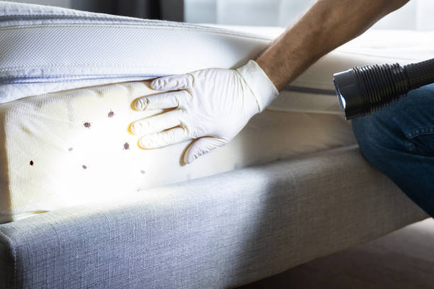 Best Pest Inspection Near Me  in The Pinery, CO